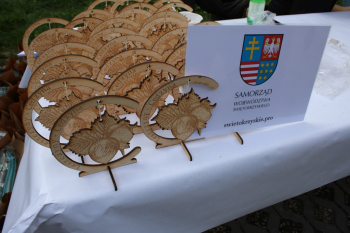 XVII Świętokrzyski Rajd Pieszy Osób Niepełnosprawnych